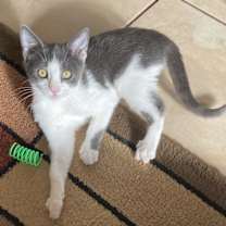 Thumbnail photo of Ava #2
