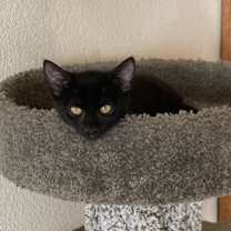 Thumbnail photo of Bunny #2