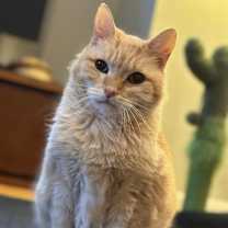 Thumbnail photo of Leona #1