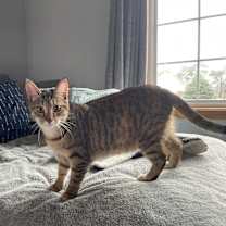 Thumbnail photo of Candace #1