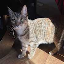 Thumbnail photo of Candace #3