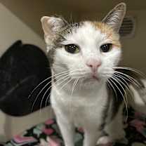 Thumbnail photo of Bess #2