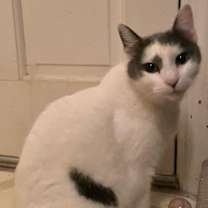 Thumbnail photo of Ivy #1