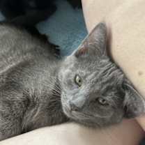 Thumbnail photo of Joe Dirt #2