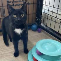 Thumbnail photo of LARISSA #1