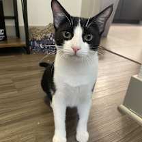 Thumbnail photo of Violet #1