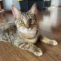 Thumbnail photo of Candace #4