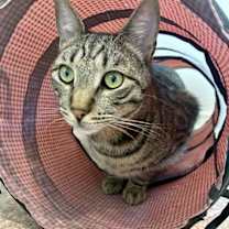 Thumbnail photo of Monsoon #1