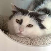 Thumbnail photo of Elixir #2