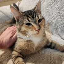 Thumbnail photo of Tabitha #2