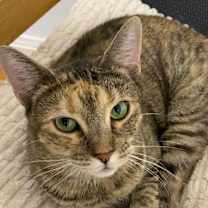 Thumbnail photo of Lola #2