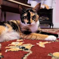 Thumbnail photo of Tracey #1