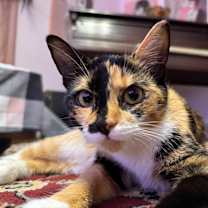 Thumbnail photo of Tracey #2