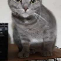 Thumbnail photo of Princess #1