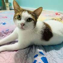 Thumbnail photo of Vinny #4