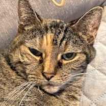 Thumbnail photo of Precious #1