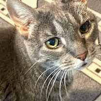 Thumbnail photo of Bonnie #1