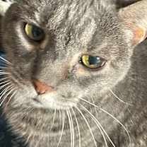 Thumbnail photo of Bonnie #2