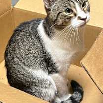 Thumbnail photo of BAYLOR #1