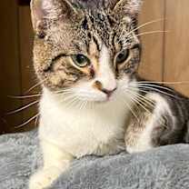 Thumbnail photo of BAYLOR #2