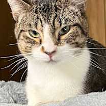 Thumbnail photo of BAYLOR #3