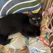 Thumbnail photo of Tina #2