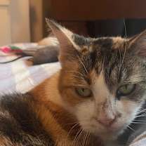 Thumbnail photo of Tuna #2