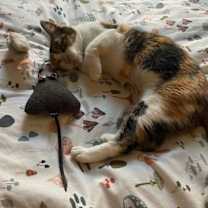 Thumbnail photo of Tuna #3