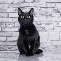 Thumbnail photo of Wednesday #2