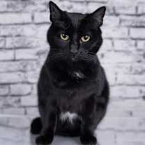 Thumbnail photo of Wednesday #3