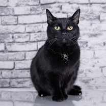 Thumbnail photo of Wednesday #4