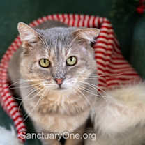 Thumbnail photo of Zeke #1