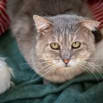 Thumbnail photo of Zeke #3