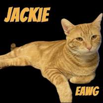 Thumbnail photo of Jackie #2