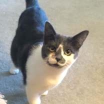 Thumbnail photo of Angie (& Birdie) #1