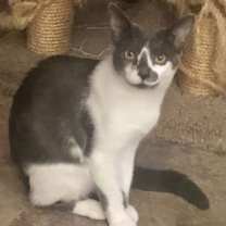 Thumbnail photo of Angie (& Birdie) #2