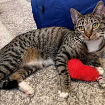 Thumbnail photo of Oakley #1