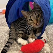 Thumbnail photo of Oakley #2