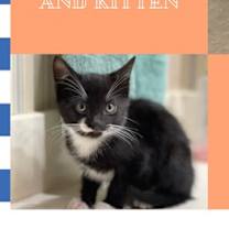 Thumbnail photo of Punkin #3