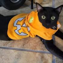 Thumbnail photo of Bob #3