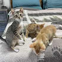 Thumbnail photo of Meredith #1
