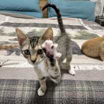 Thumbnail photo of Meredith #2