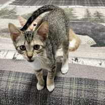 Thumbnail photo of Meredith #4