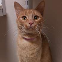 Thumbnail photo of Sugar #2