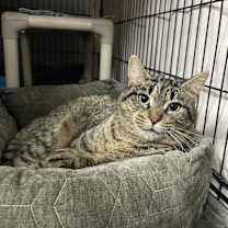 Thumbnail photo of Nora #3