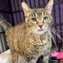 Thumbnail photo of Eleanor #1