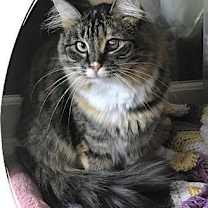 Thumbnail photo of Fetty #2