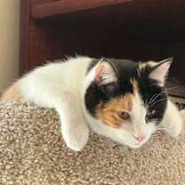 Thumbnail photo of Ruby V #3