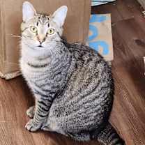 Thumbnail photo of Craig (Video) loving (low fee) #1