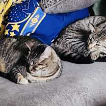 Thumbnail photo of Craig (Video) loving (low fee) #4